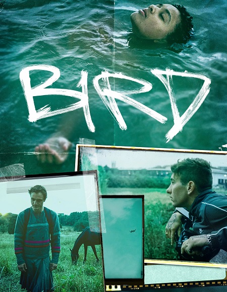 فيلم Bird 2024 مترجم